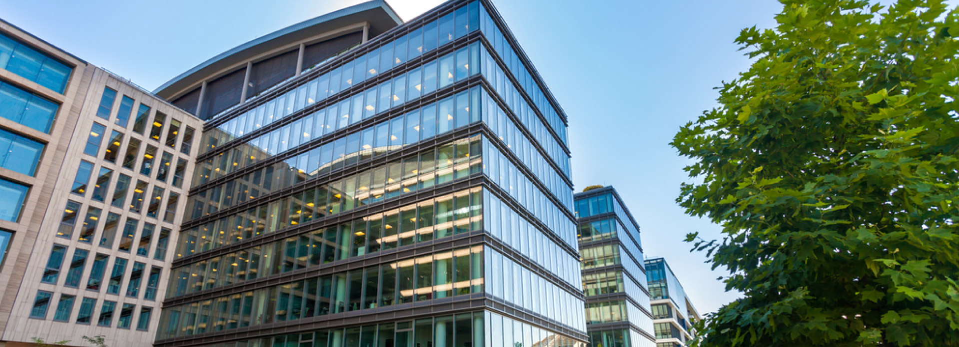 Proyectos-background